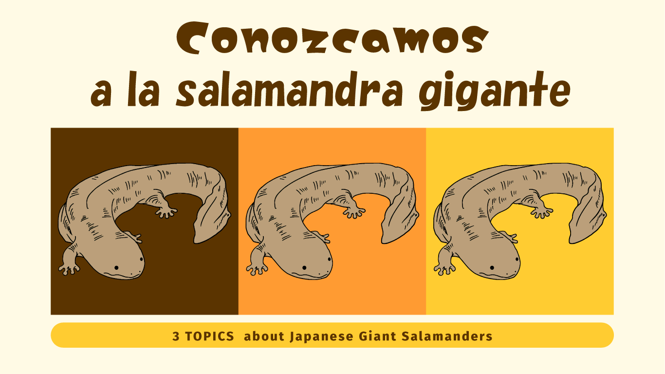 パソコン用の画像