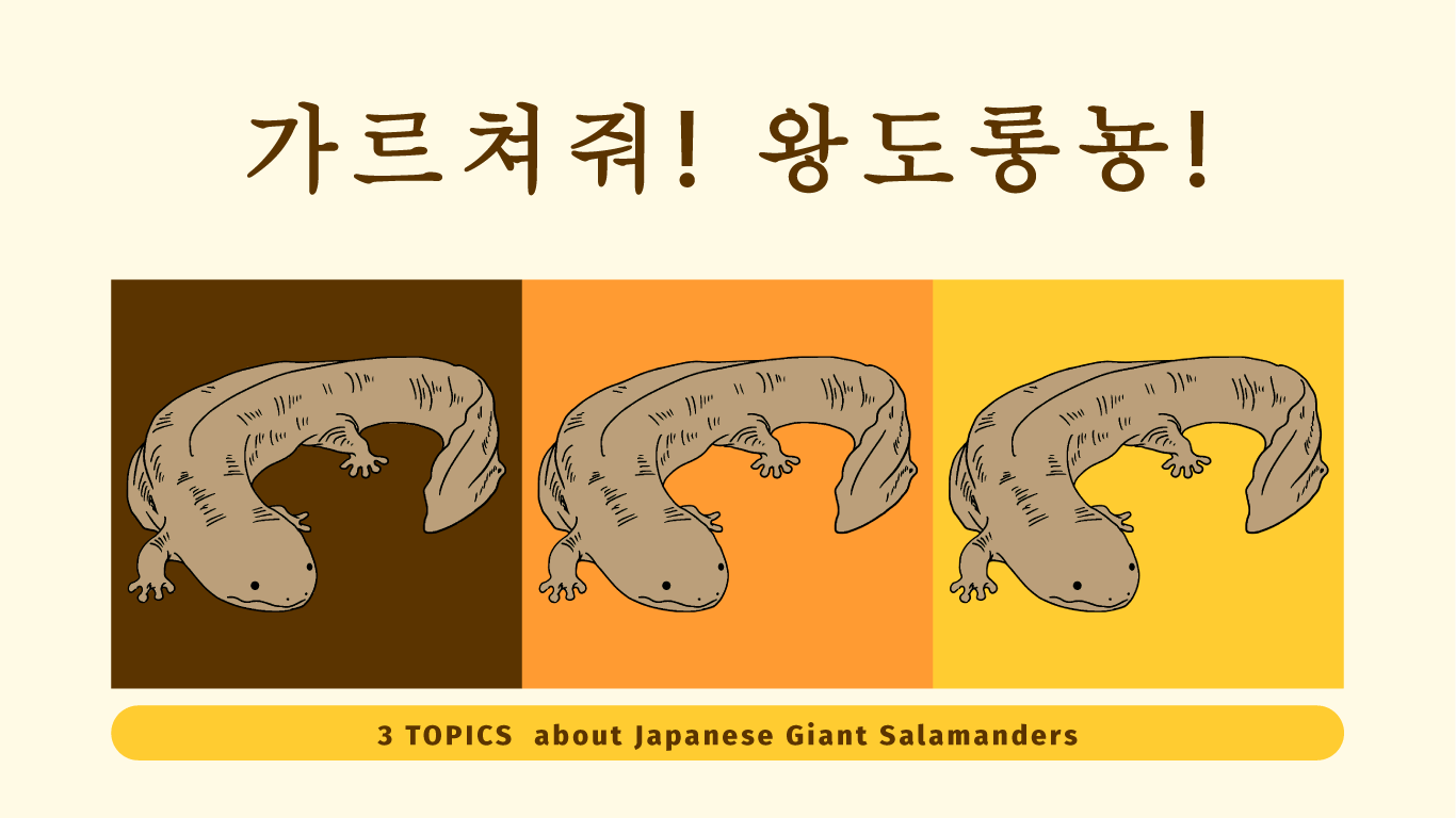パソコン用の画像